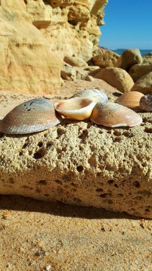 Olhos Do Mar Albufeira Lejlighed Eksteriør billede